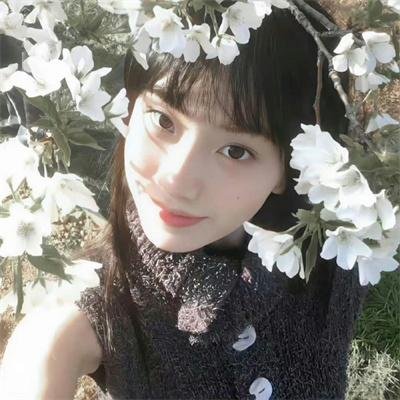 剧集连播